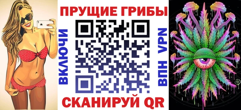 как найти   Сосновоборск  Псилоцибиновые грибы мухоморы 