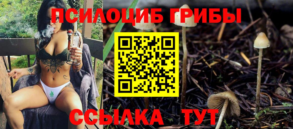 Галлюциногенные грибы MAGIC MUSHROOMS  Вход с VPN  Галлюциногенные грибы GOLDEN TEACHER  Сосновоборск 